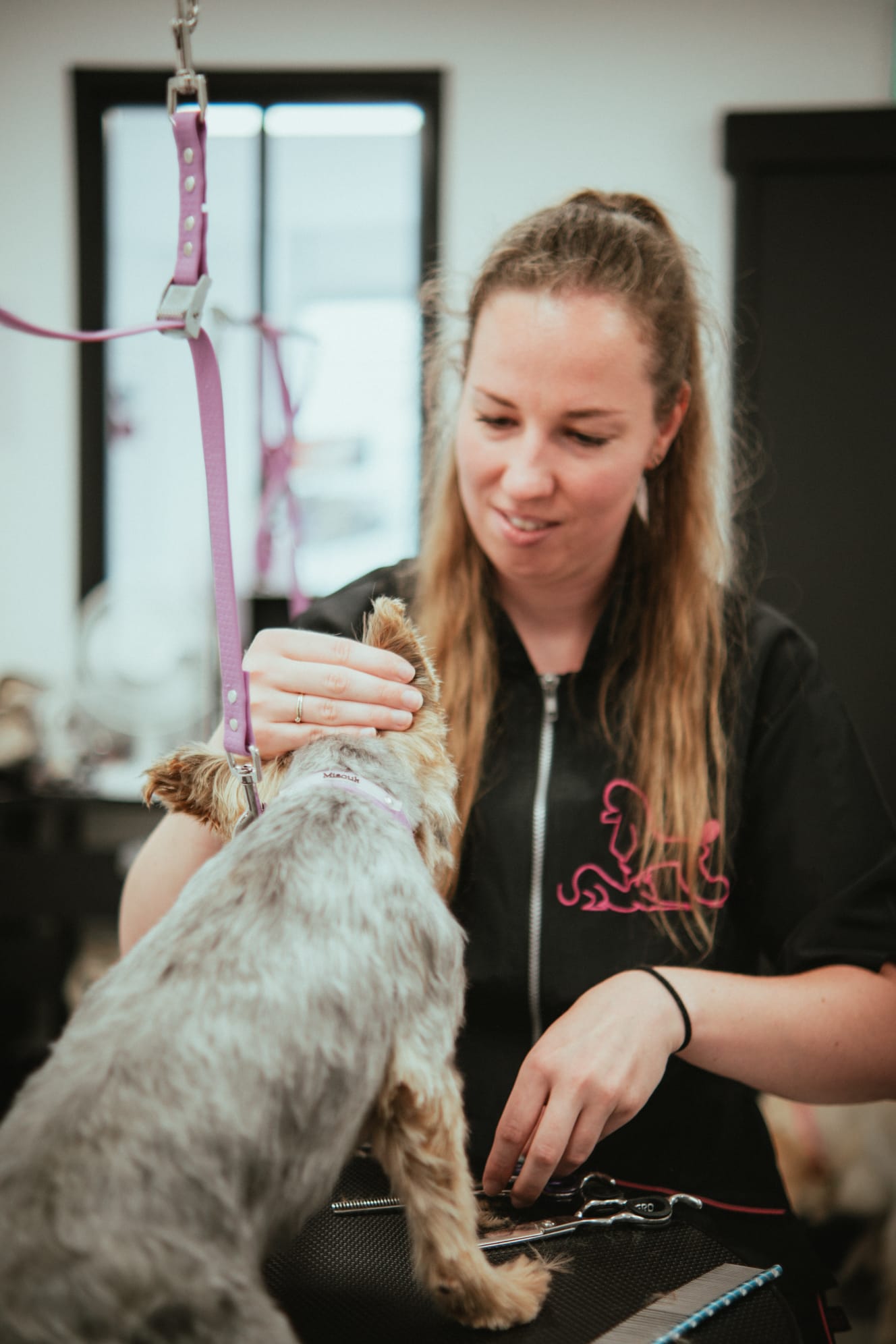 Marie en train de toiletter un chien au salon Bulle d'Eau Canine